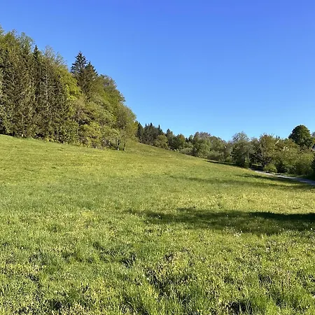 Smart 2 Bb2 322 ווינטרברג